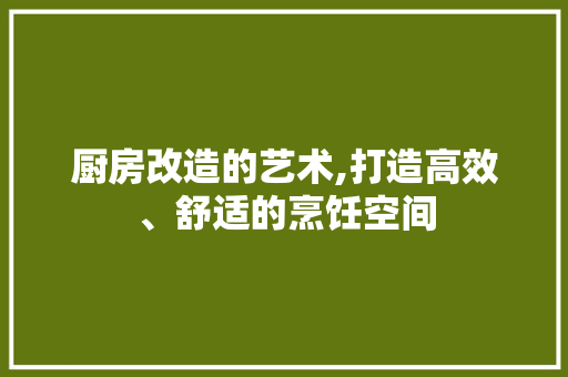 厨房改造的艺术,打造高效、舒适的烹饪空间