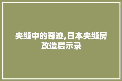 夹缝中的奇迹,日本夹缝房改造启示录