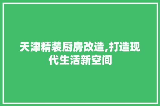 天津精装厨房改造,打造现代生活新空间