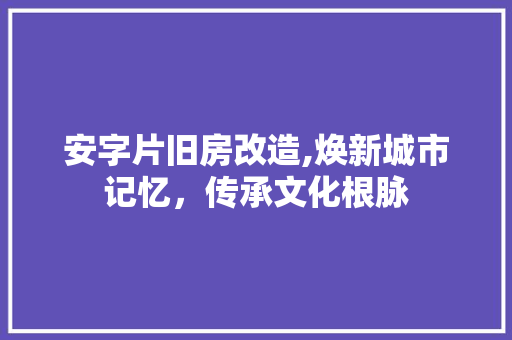 安字片旧房改造,焕新城市记忆，传承文化根脉