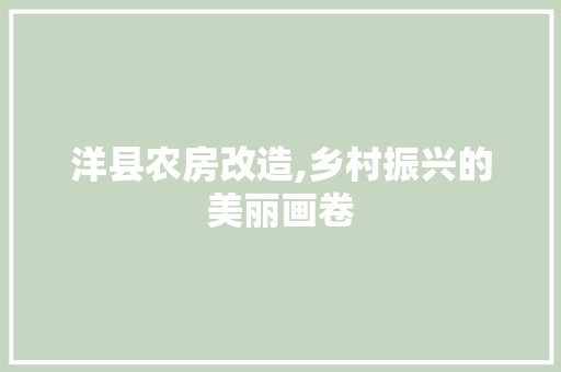 洋县农房改造,乡村振兴的美丽画卷