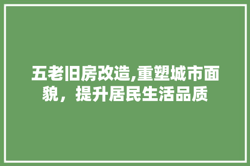 五老旧房改造,重塑城市面貌，提升居民生活品质