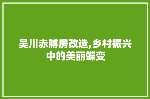 吴川赤膊房改造,乡村振兴中的美丽蝶变