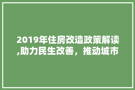 2019年住房改造政策解读,助力民生改善，推动城市可持续发展
