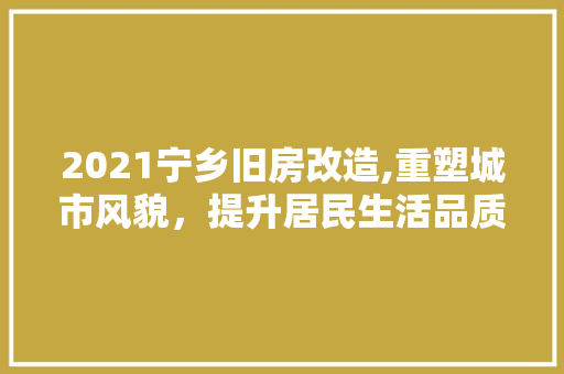 2021宁乡旧房改造,重塑城市风貌，提升居民生活品质
