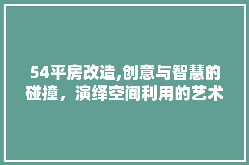 54平房改造,创意与智慧的碰撞，演绎空间利用的艺术