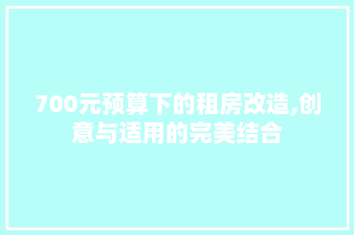 700元预算下的租房改造,创意与适用的完美结合