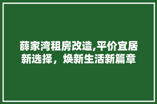 薛家湾租房改造,平价宜居新选择，焕新生活新篇章
