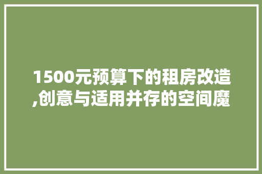 1500元预算下的租房改造,创意与适用并存的空间魔法