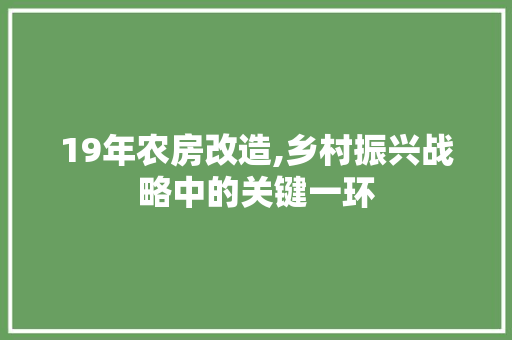 19年农房改造,乡村振兴战略中的关键一环