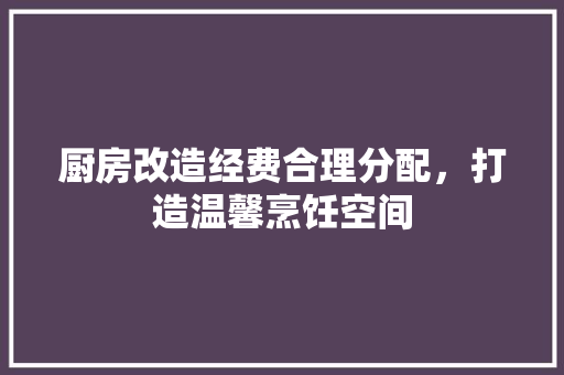 厨房改造经费合理分配，打造温馨烹饪空间