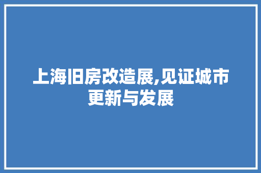 上海旧房改造展,见证城市更新与发展