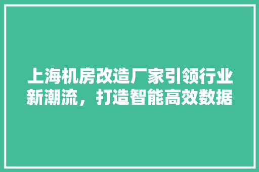 上海机房改造厂家引领行业新潮流，打造智能高效数据中心