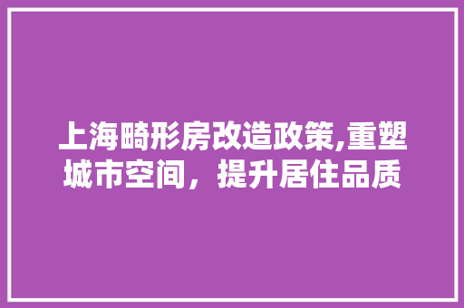 上海畸形房改造政策,重塑城市空间，提升居住品质
