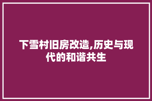 下雪村旧房改造,历史与现代的和谐共生