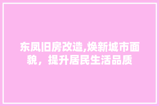 东凤旧房改造,焕新城市面貌，提升居民生活品质