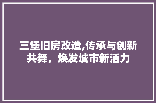 三堡旧房改造,传承与创新共舞，焕发城市新活力