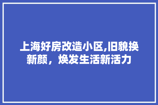 上海好房改造小区,旧貌换新颜，焕发生活新活力