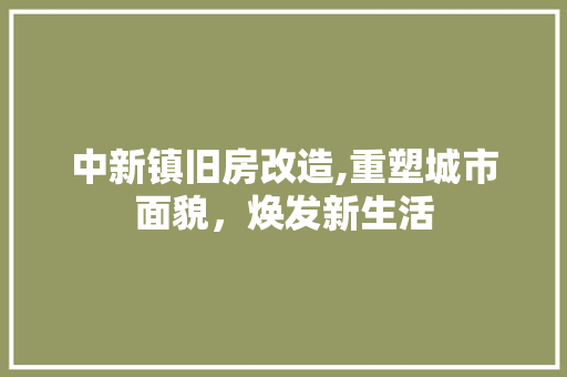 中新镇旧房改造,重塑城市面貌，焕发新生活
