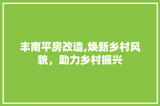 丰南平房改造,焕新乡村风貌，助力乡村振兴