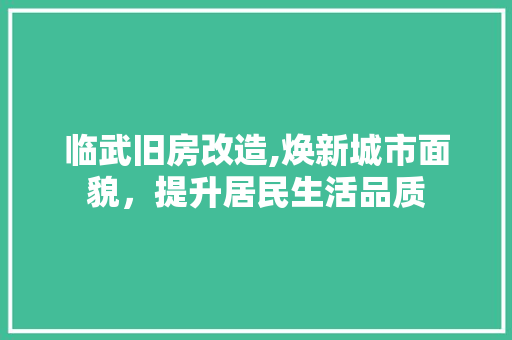 临武旧房改造,焕新城市面貌，提升居民生活品质