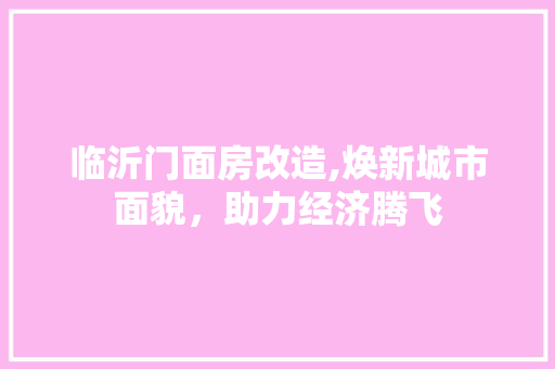 临沂门面房改造,焕新城市面貌，助力经济腾飞