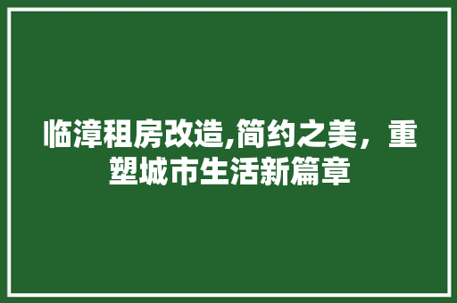 临漳租房改造,简约之美，重塑城市生活新篇章