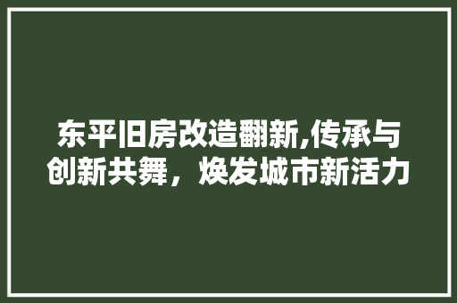 东平旧房改造翻新,传承与创新共舞，焕发城市新活力