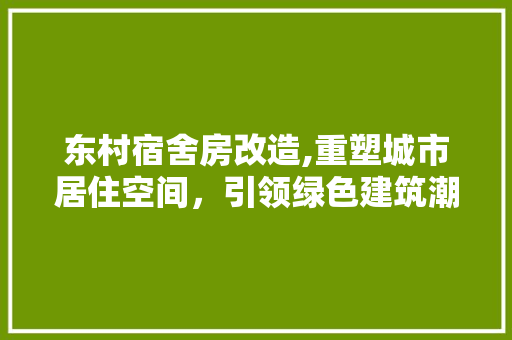 东村宿舍房改造,重塑城市居住空间，引领绿色建筑潮流