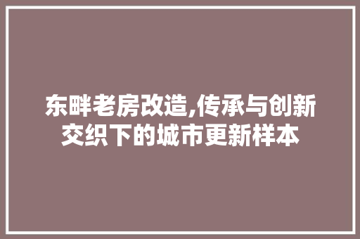 东畔老房改造,传承与创新交织下的城市更新样本