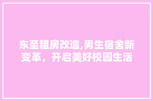东至租房改造,男生宿舍新变革，开启美好校园生活