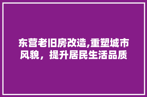 东营老旧房改造,重塑城市风貌，提升居民生活品质