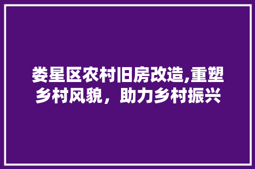 娄星区农村旧房改造,重塑乡村风貌，助力乡村振兴
