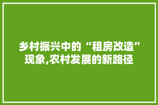 乡村振兴中的“租房改造”现象,农村发展的新路径