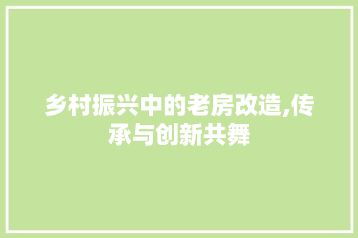 乡村振兴中的老房改造,传承与创新共舞