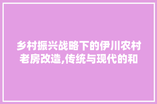 乡村振兴战略下的伊川农村老房改造,传统与现代的和谐共生