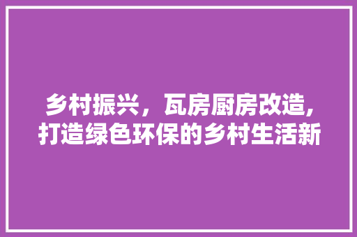 乡村振兴，瓦房厨房改造,打造绿色环保的乡村生活新篇章