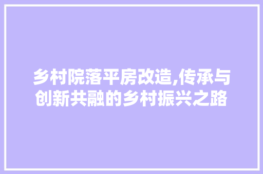 乡村院落平房改造,传承与创新共融的乡村振兴之路