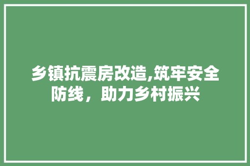 乡镇抗震房改造,筑牢安全防线，助力乡村振兴