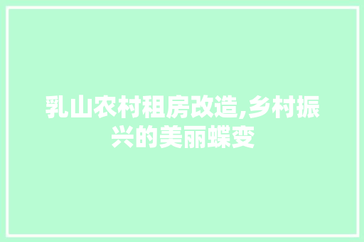 乳山农村租房改造,乡村振兴的美丽蝶变