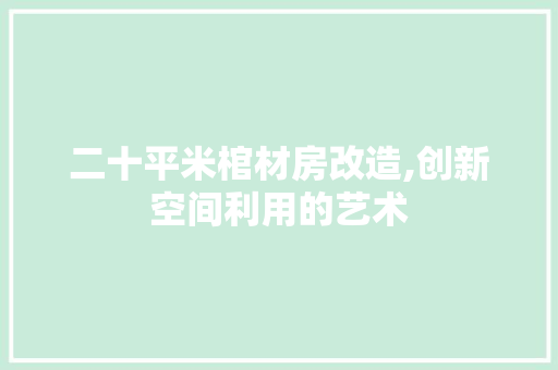 二十平米棺材房改造,创新空间利用的艺术