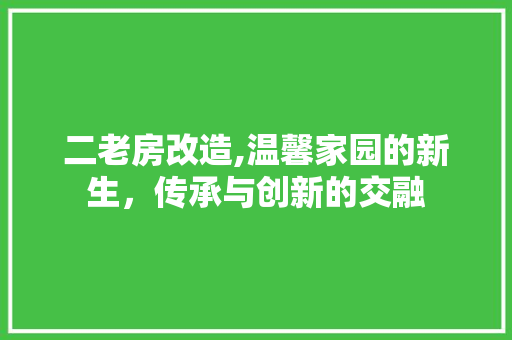 二老房改造,温馨家园的新生，传承与创新的交融