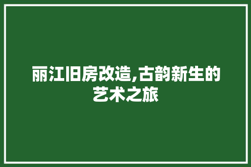 丽江旧房改造,古韵新生的艺术之旅