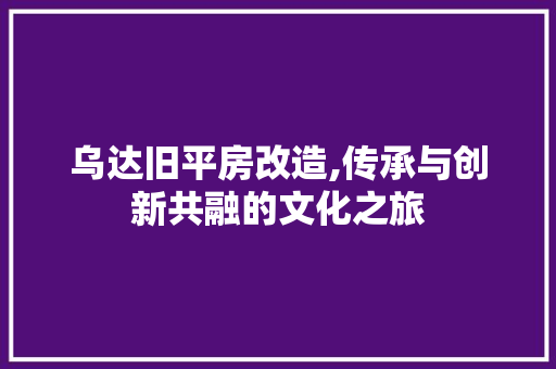 乌达旧平房改造,传承与创新共融的文化之旅