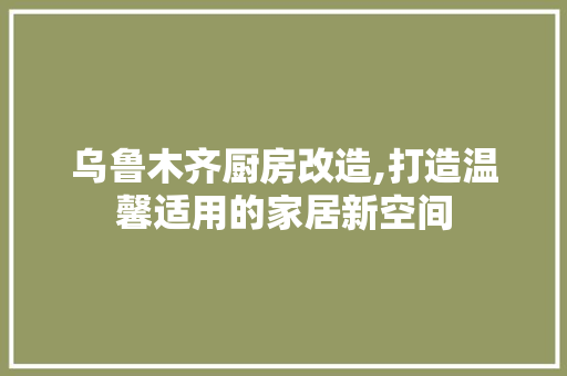 乌鲁木齐厨房改造,打造温馨适用的家居新空间