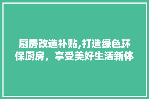 厨房改造补贴,打造绿色环保厨房，享受美好生活新体验