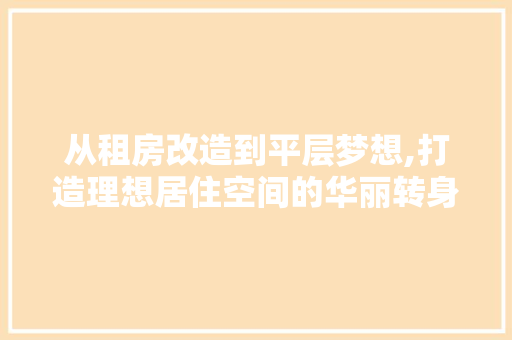 从租房改造到平层梦想,打造理想居住空间的华丽转身
