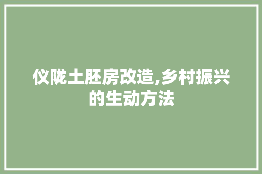 仪陇土胚房改造,乡村振兴的生动方法
