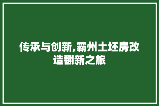 传承与创新,霸州土坯房改造翻新之旅