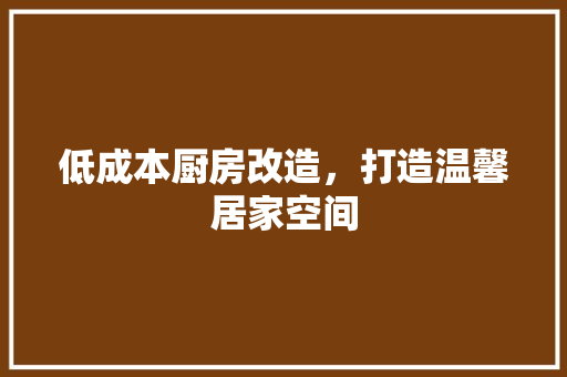 低成本厨房改造，打造温馨居家空间